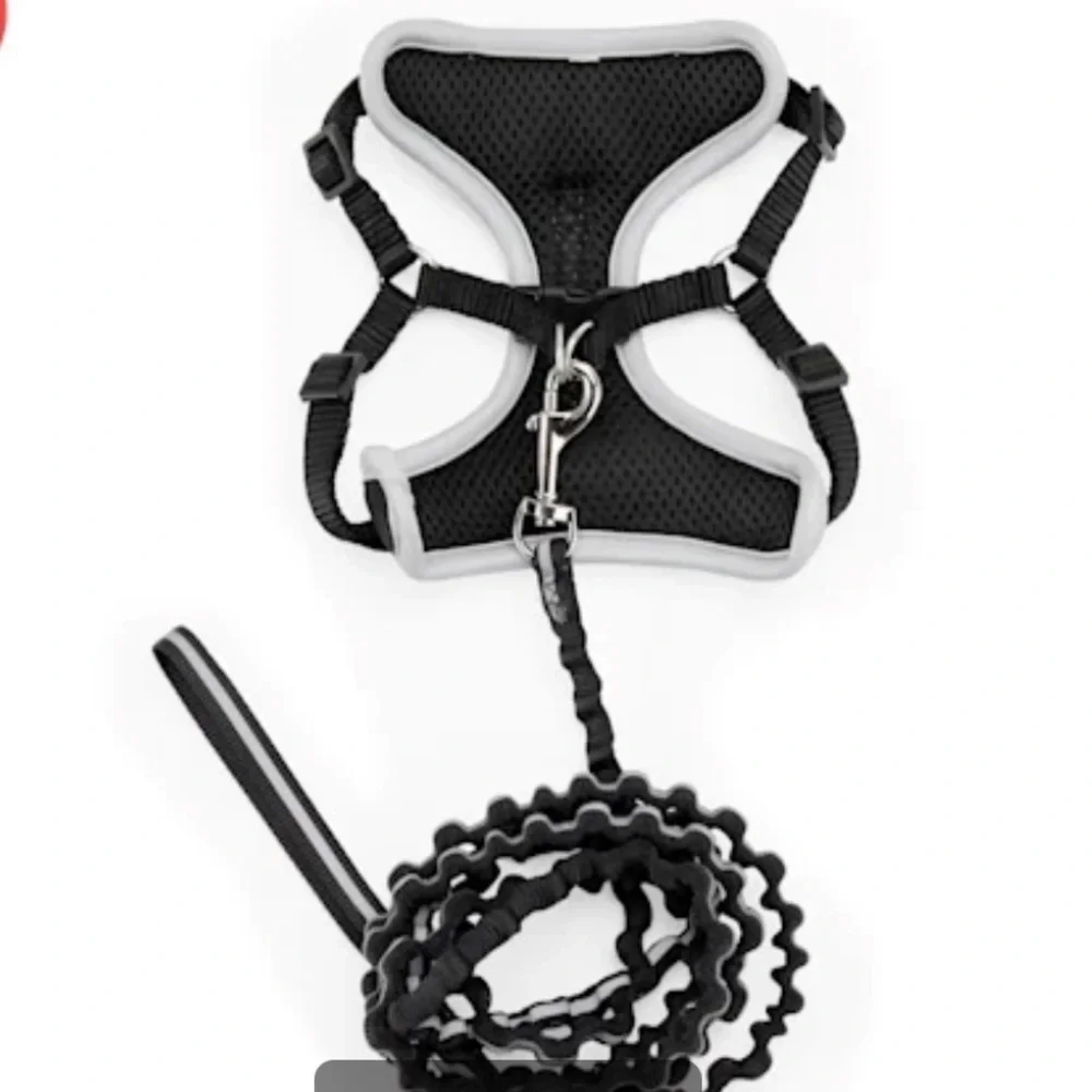 NWOT Youly Cat Harness Leash Set